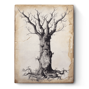 Sid Dickens Medieval Tree of Life