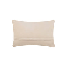 Chicago Flag Hook Pillow