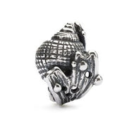 Hiding Conch Bead