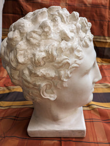 Head of Hermes Artist's model...plaster