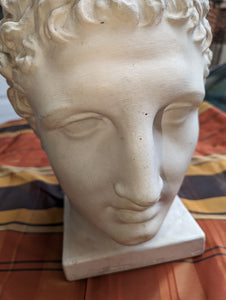 Head of Hermes Artist's model...plaster