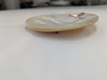 waxing poetic Display seashell