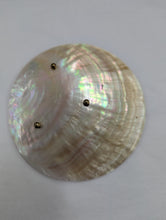waxing poetic Display seashell