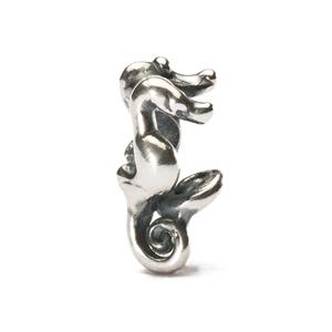 Seahorses