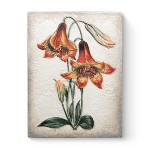 Sid Dickens Tiger Lilies