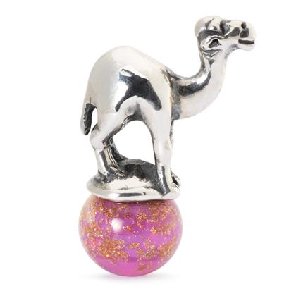 Dromedary