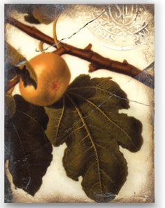 Golden Fig T-105