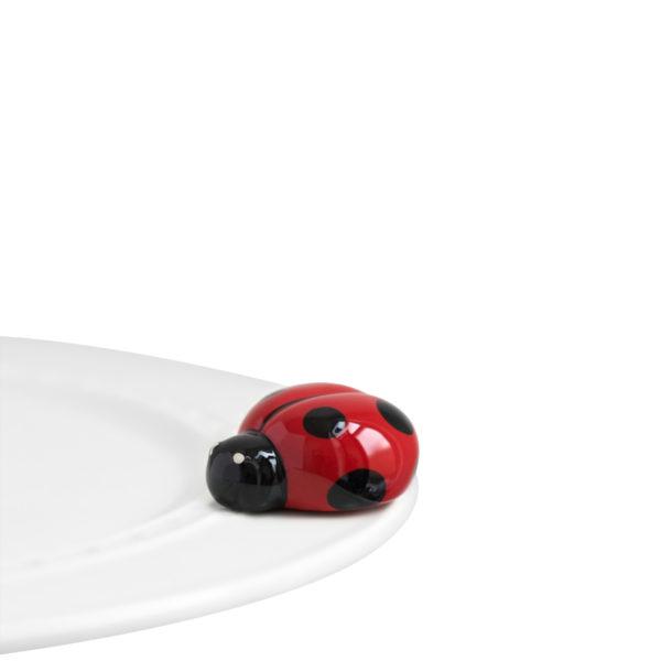 Lil Ladybug