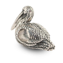 Shanti the Pelican RETIRED