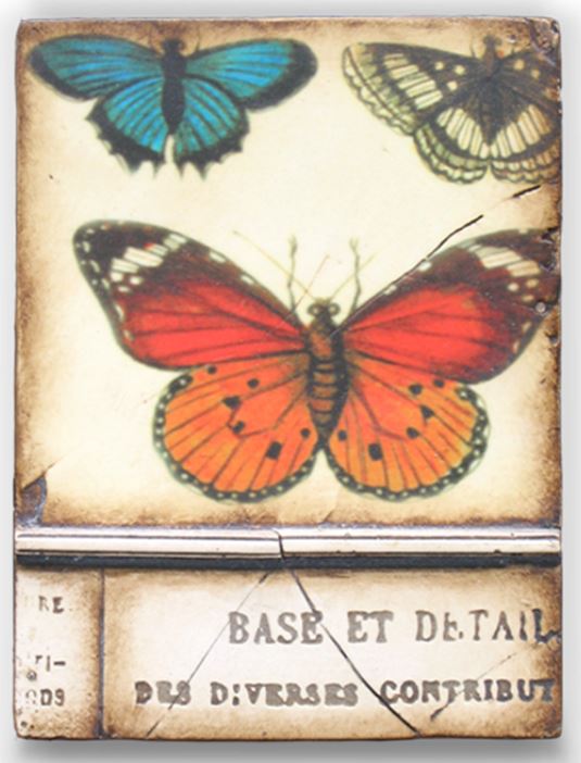 Butterfly T-139