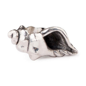 Conch Shell RETIRED