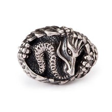 Dragon Hatchling