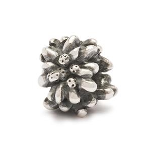 Edelweiss Bead World Tour Switzerland