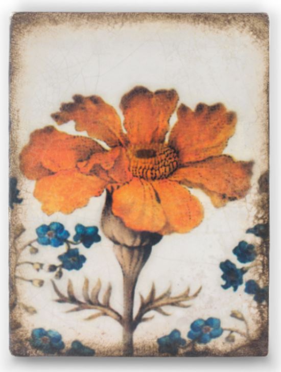 Marigold T-351