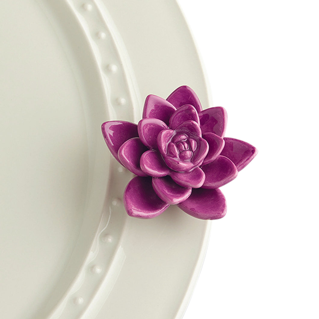 Nora Fleming Get Growing succulent Mini