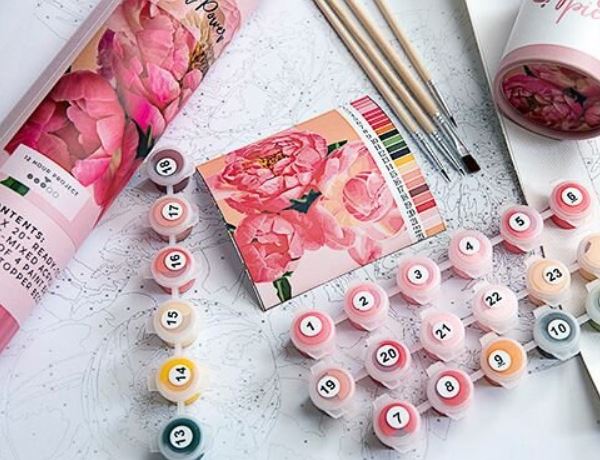 Pink Picasso Paint by Numbers Kit - Go Wild