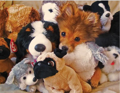 Puzzle 400 pc Puppies