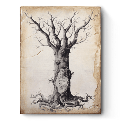 Sid Dickens Medieval Tree of Life