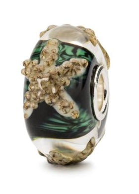 Steady Starfish Bead